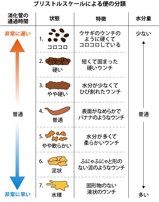 診療490日目、「浮くうんち」と「沈むうんち」